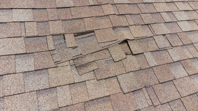 Asphalt Shingle Repair - Leak Fix
