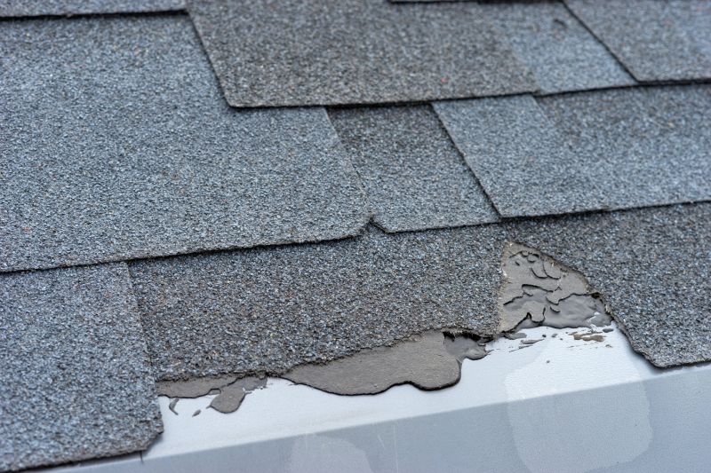 Asphalt Shingles Repair